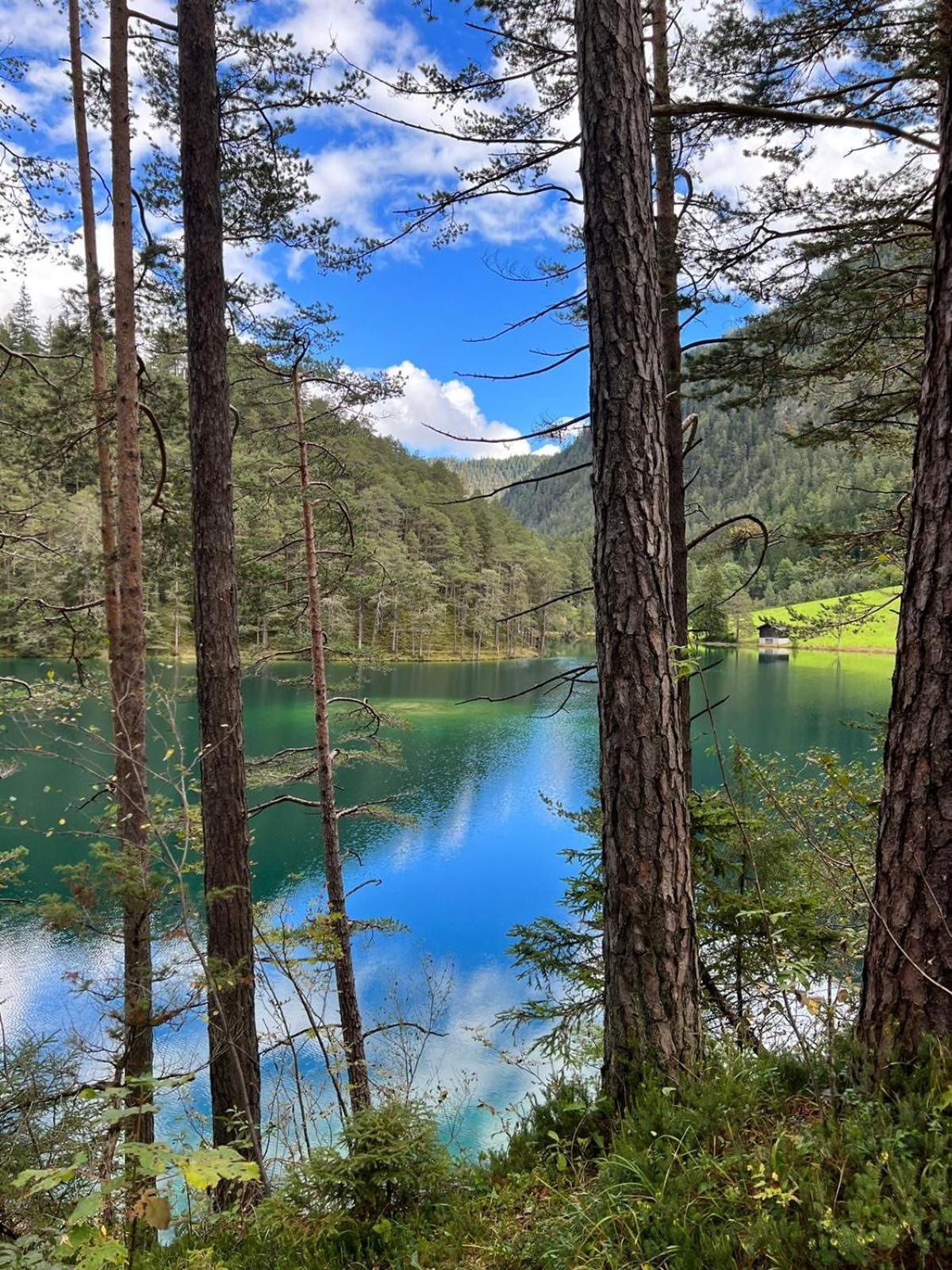 Ferienwohnungen Schleich Nassereith Dış mekan fotoğraf